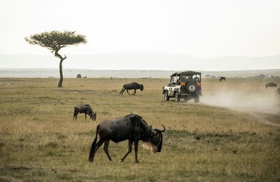 KENYA VISIT VISA