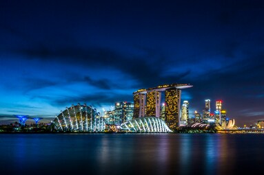 SINGAPORE VISIT VISA